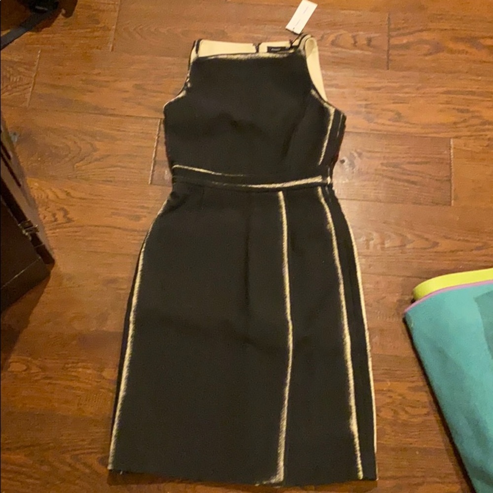 Black/Ecru Proenza Schouler Sleeveless Dress